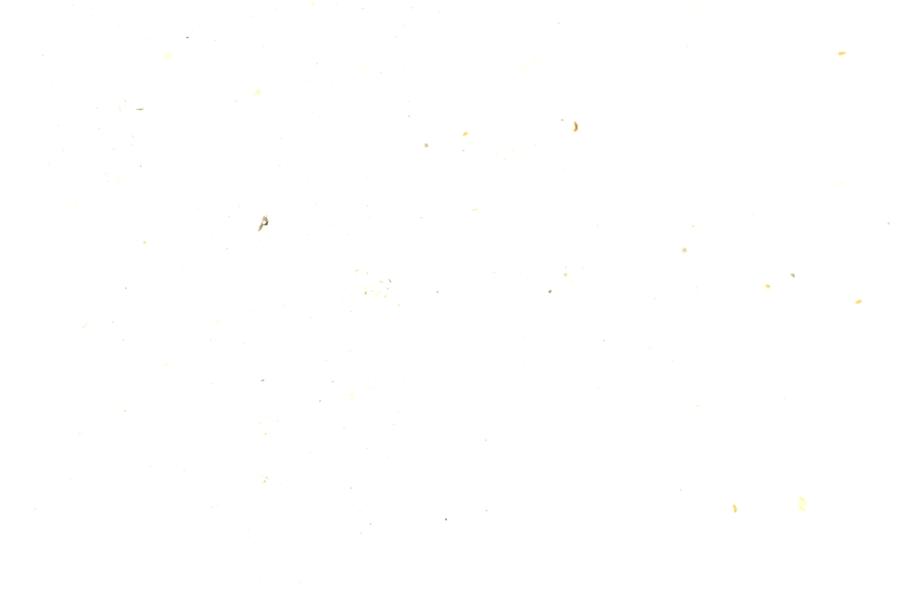 Image 118